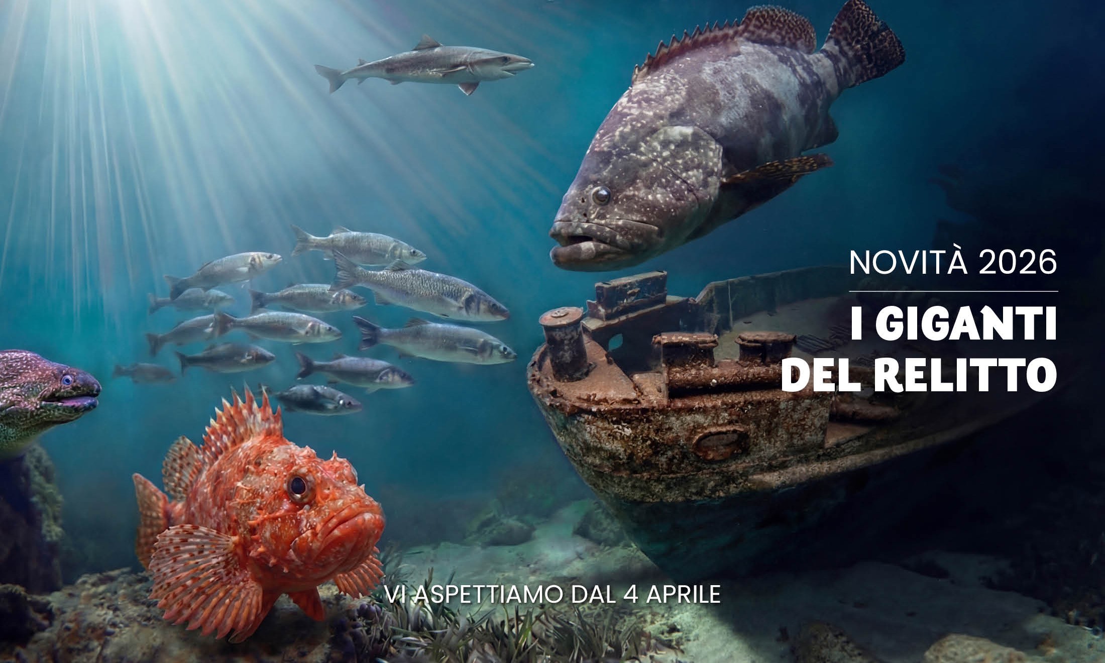 Acquario di Cattolica: un mondo da proteggere