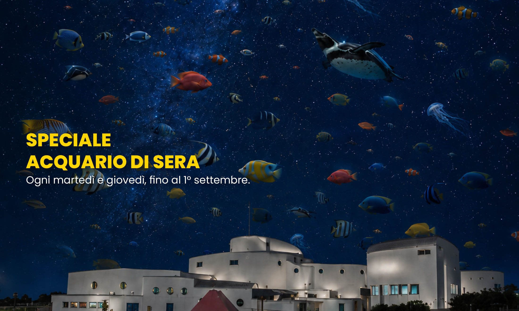 IL RESPIRO  DEGLI ABISSI  aperture serali all’Acquario