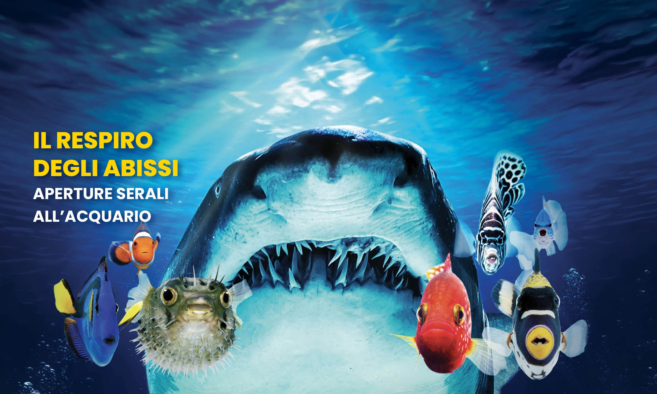 IL RESPIRO  DEGLI ABISSI  aperture serali all’Acquario