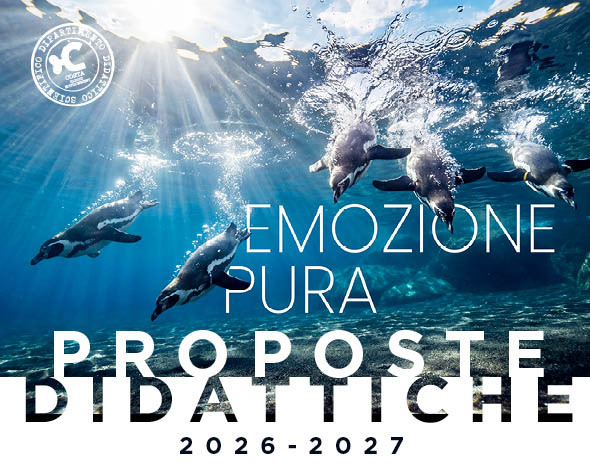 Proposte didattiche 2026/2026