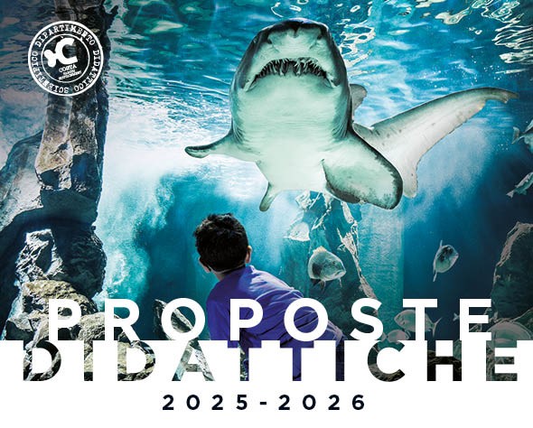 Proposte didattiche 2025/2026