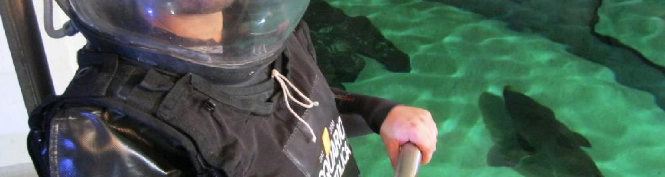 La vita in diretta Rai 1 per l'addio al celibato tra gli squali