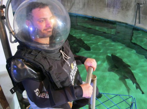 La vita in diretta Rai 1 per l'addio al celibato tra gli squali