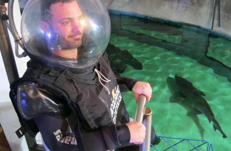 La vita in diretta Rai 1 per l'addio al celibato tra gli squali