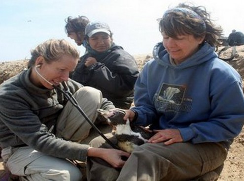Cattolica per  "Salva una specie"  day
