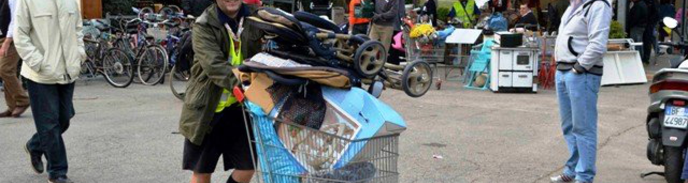 Al via oggi  il  33°Campo Lavoro all' Acquario di Cattolica