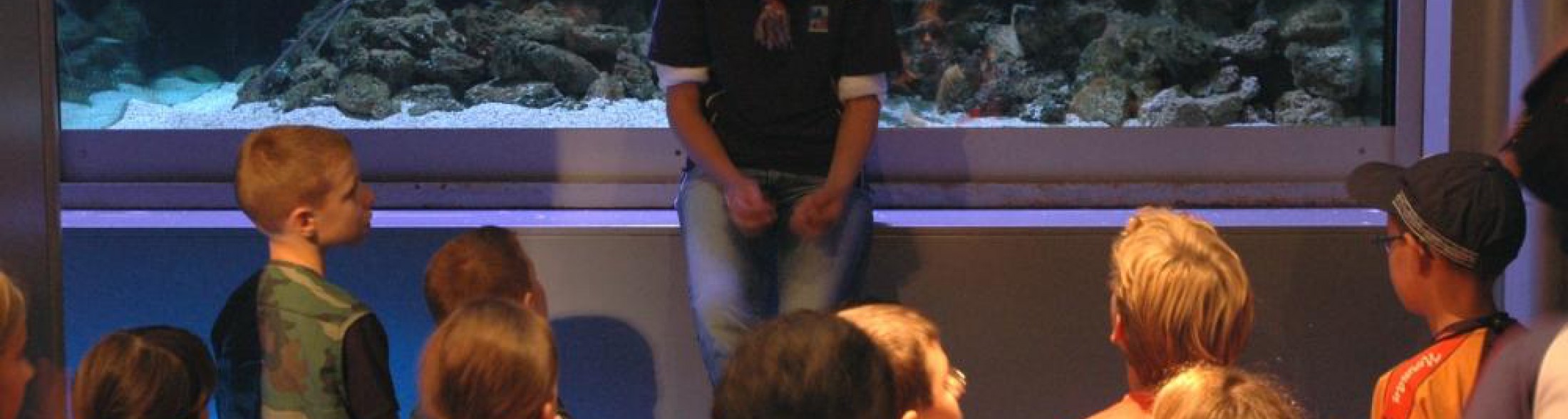 Turismo scolastico in arrivo all' Acquario di Cattolica