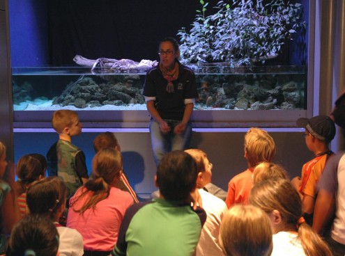 Turismo scolastico in arrivo all' Acquario di Cattolica