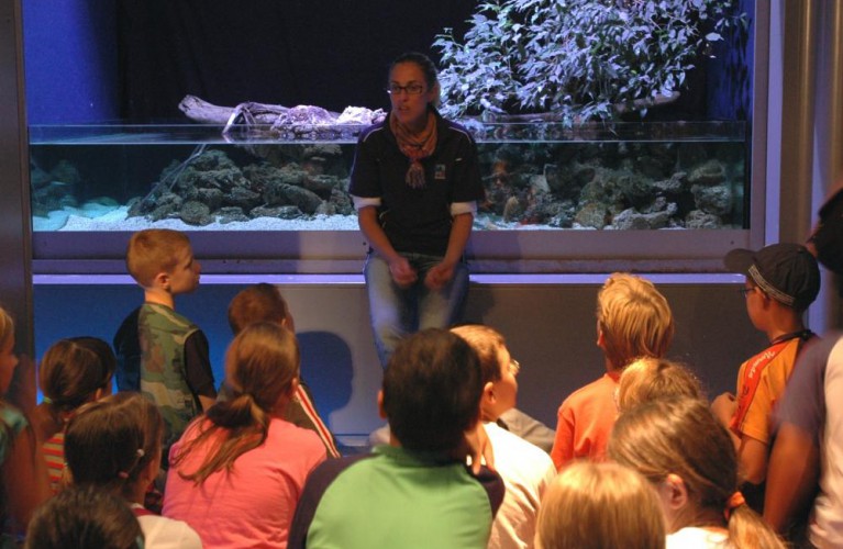 Turismo scolastico in arrivo all' Acquario di Cattolica