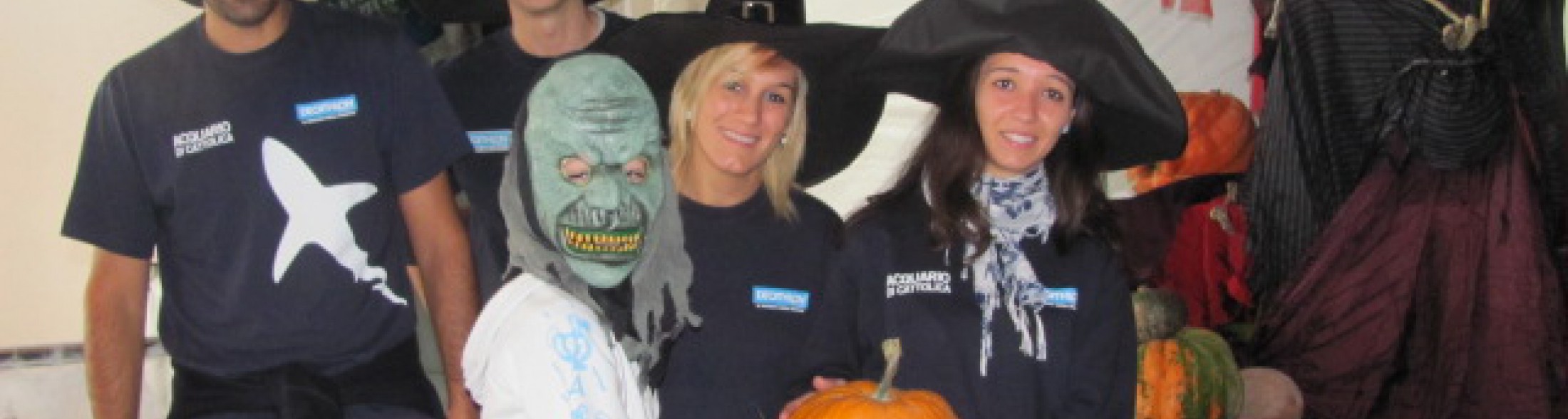 l'Acquario invaso dalle zucche gialle