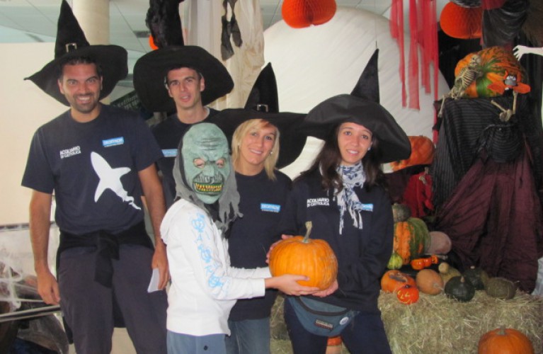 l'Acquario invaso dalle zucche gialle