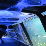 Un Acquario da paura per Halloween