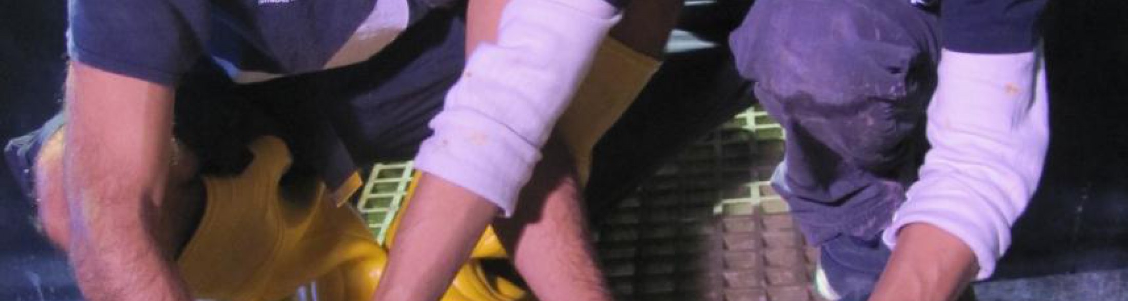 Da Cattolica a Palinuro: Tartarughe in libertà