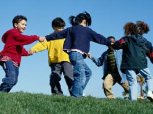 Apre la Baia di Sharky