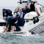 22 Maggio al via  "Turtle Summer"  con la prima tappa della la Mostra Tartrughe Marine