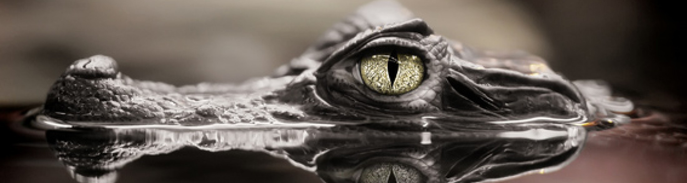 1 aprile parte la stagione 2012