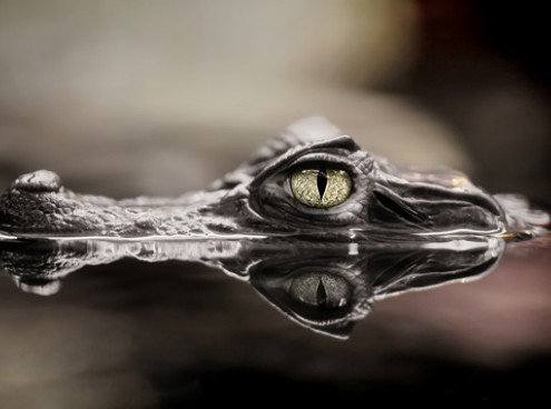 1 aprile parte la stagione 2012