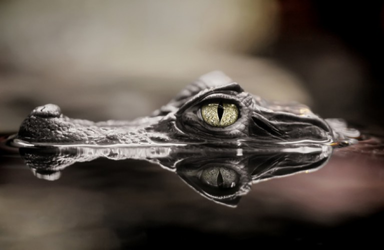 1 aprile parte la stagione 2012