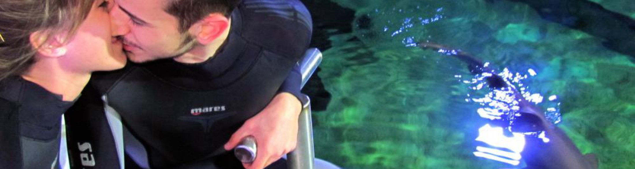 La Befana porta un tuffo tra gli squali