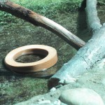 Natale con tanti regali per le lontre