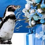 Speciale bambini, un regalo di Natale dall'Acquario di Cattolica