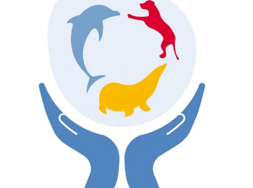 Primo corso in italia con Julie's Scardina - staff - seaworld-