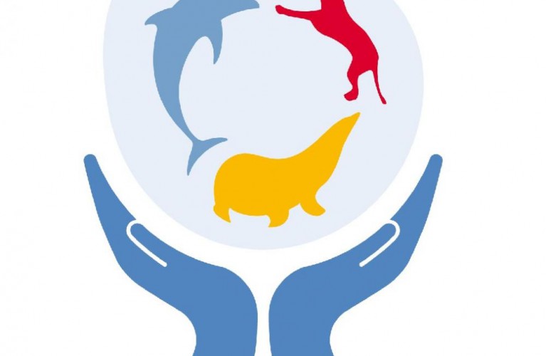 Primo corso in italia con Julie's Scardina - staff - seaworld-