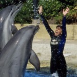 Primo corso in italia con Julie's Scardina - staff - seaworld-