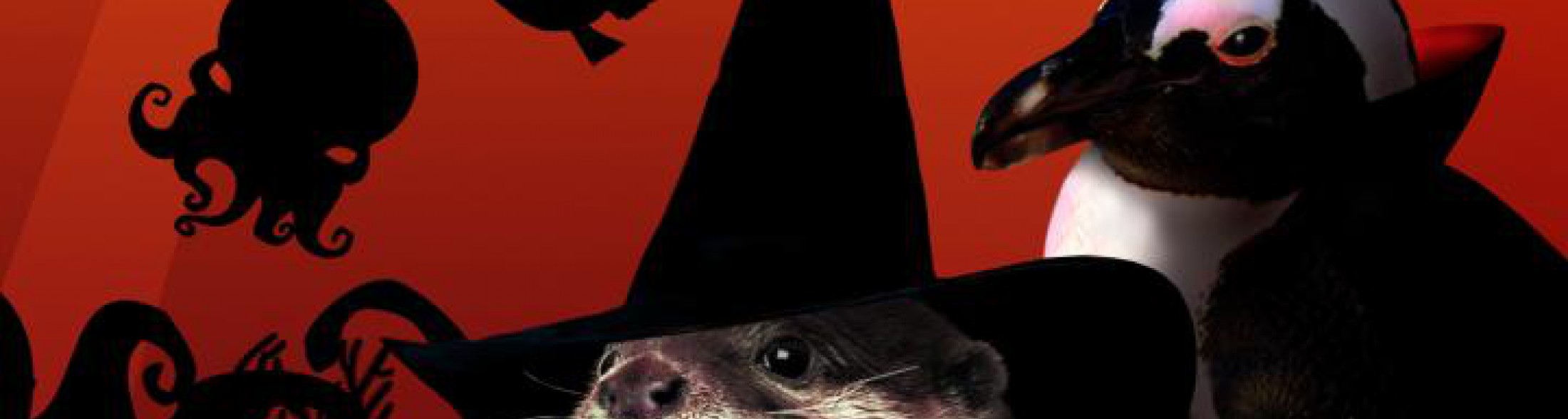 Tremate..tremate  le streghe son tornate!