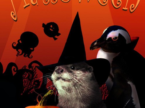 Tremate..tremate  le streghe son tornate!