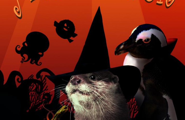 Tremate..tremate  le streghe son tornate!