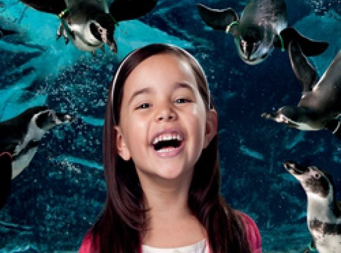 La paura fa 90!!!!!!!!!!!!!!!!!