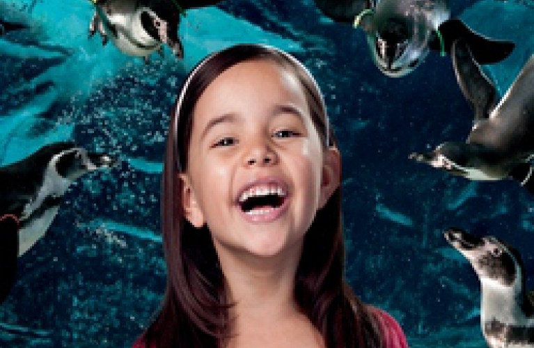 La paura fa 90!!!!!!!!!!!!!!!!!