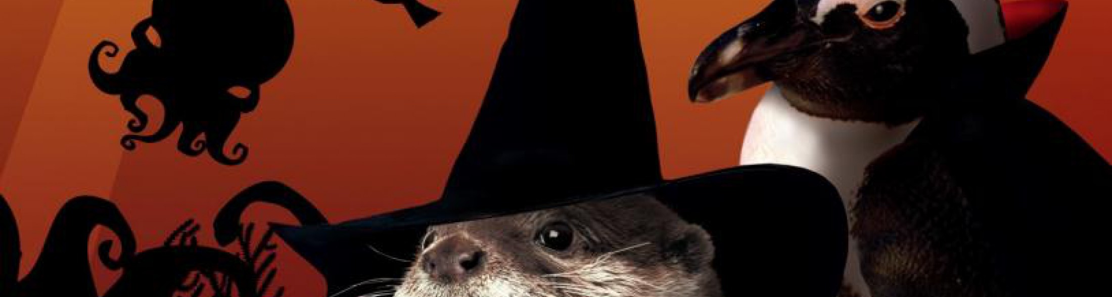 Vuoi vivere un Halloween da paura?