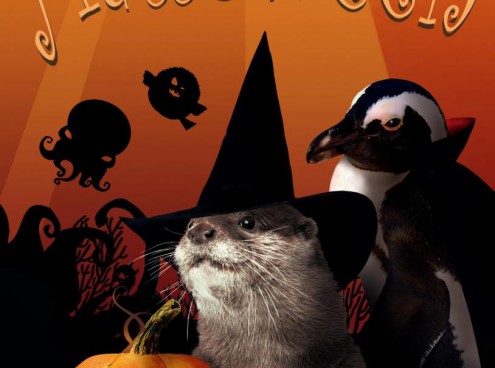 Vuoi vivere un Halloween da paura?