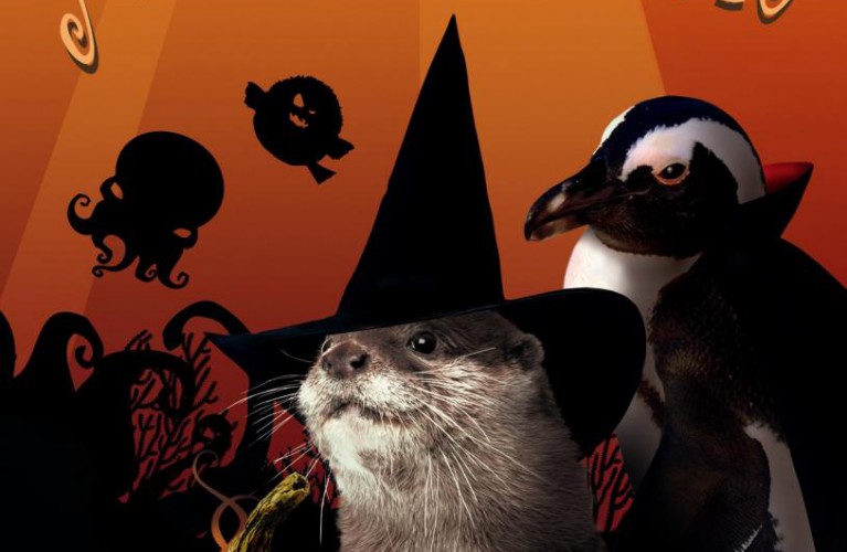 Vuoi vivere un Halloween da paura?