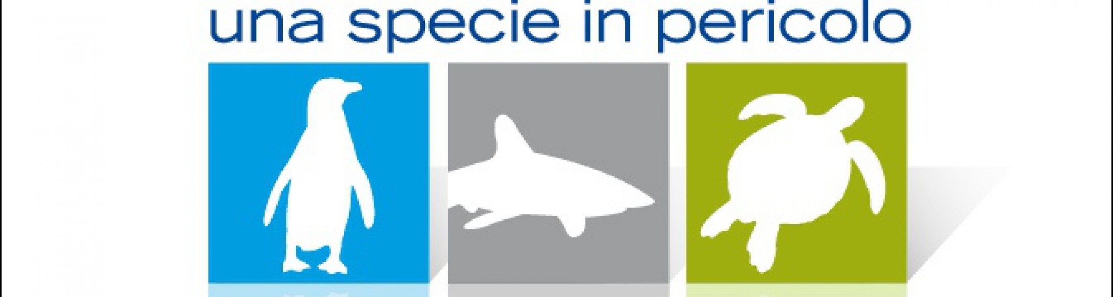 L'Acquario  di Cattolica in diretta  su  Geo e Geo