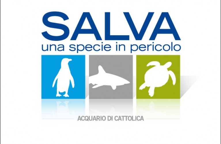 L'Acquario  di Cattolica in diretta  su  Geo e Geo