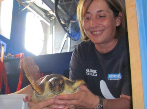 Asilo delle tartarughe un impegno che continua