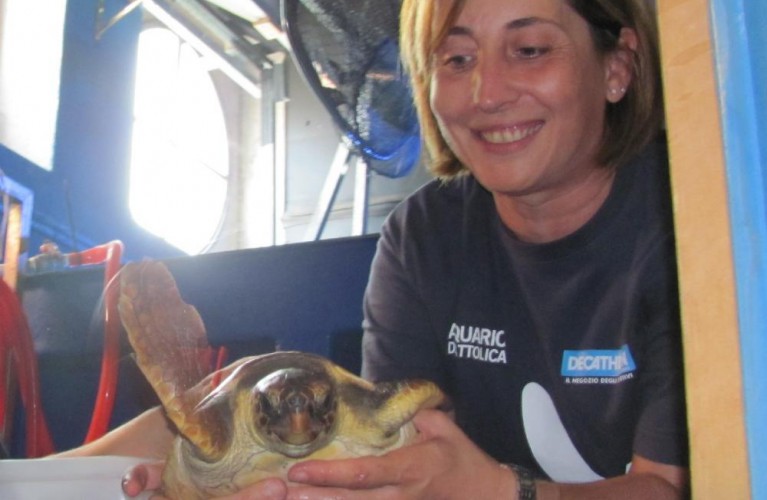 Asilo delle tartarughe un impegno che continua