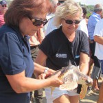 Salva una specie in pericolo