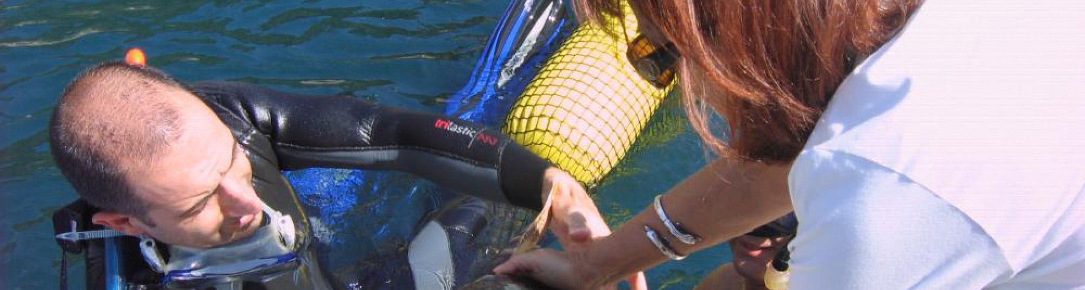 Ritorno in mare per Aurelia e Pelagia