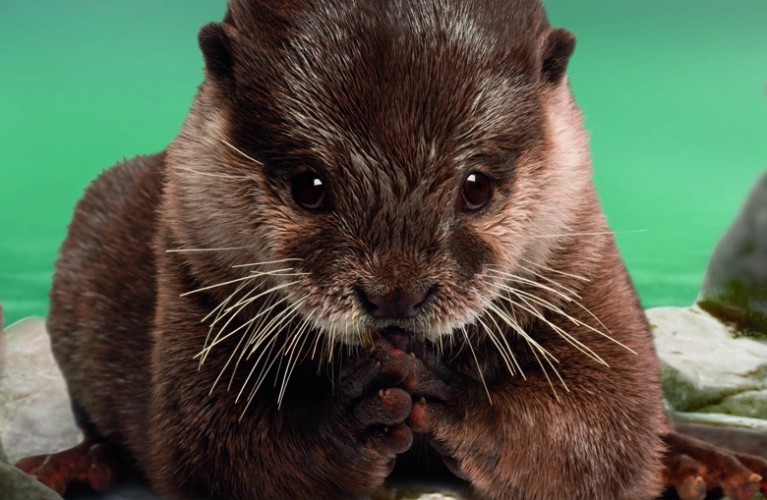 Inaugurazione percorso giallo