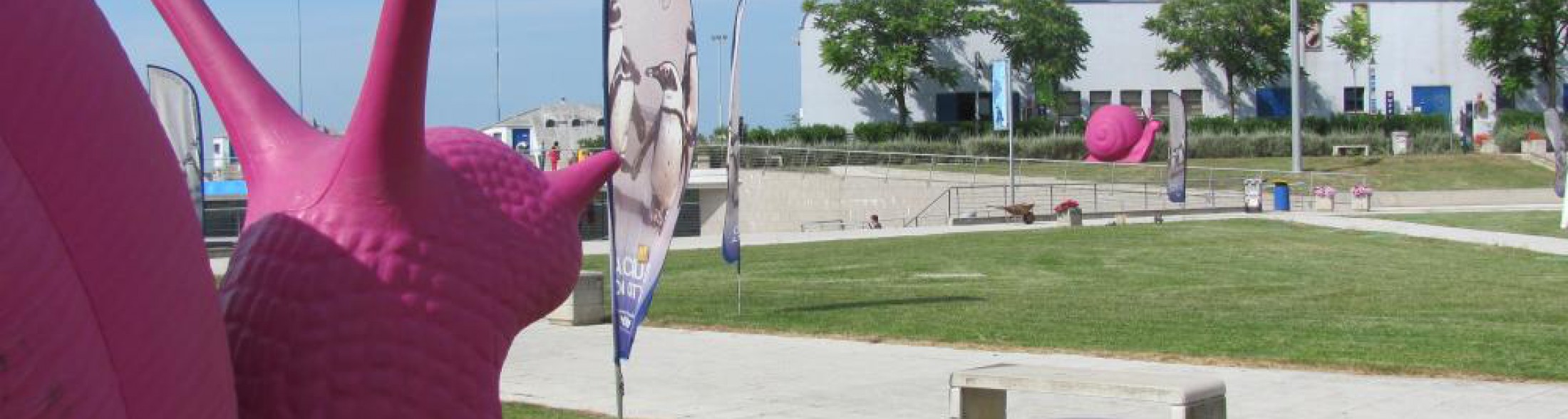 Chiocciole  rosa  all' Acquario di Cattolica