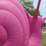 Chiocciole  rosa  all' Acquario di Cattolica