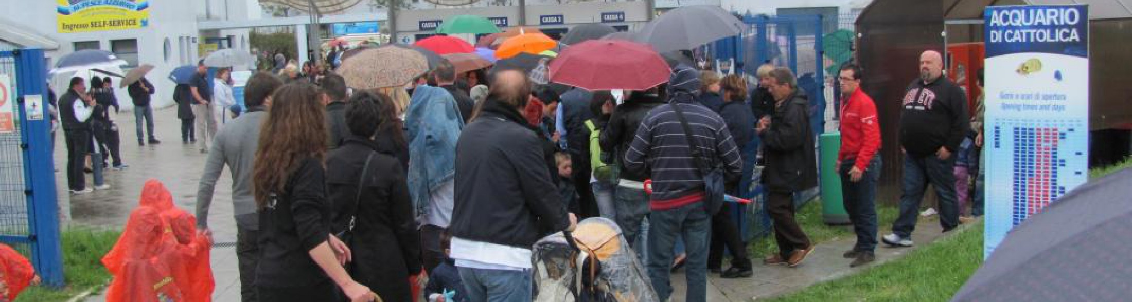 abbiamo fatto 13.000 visitatori