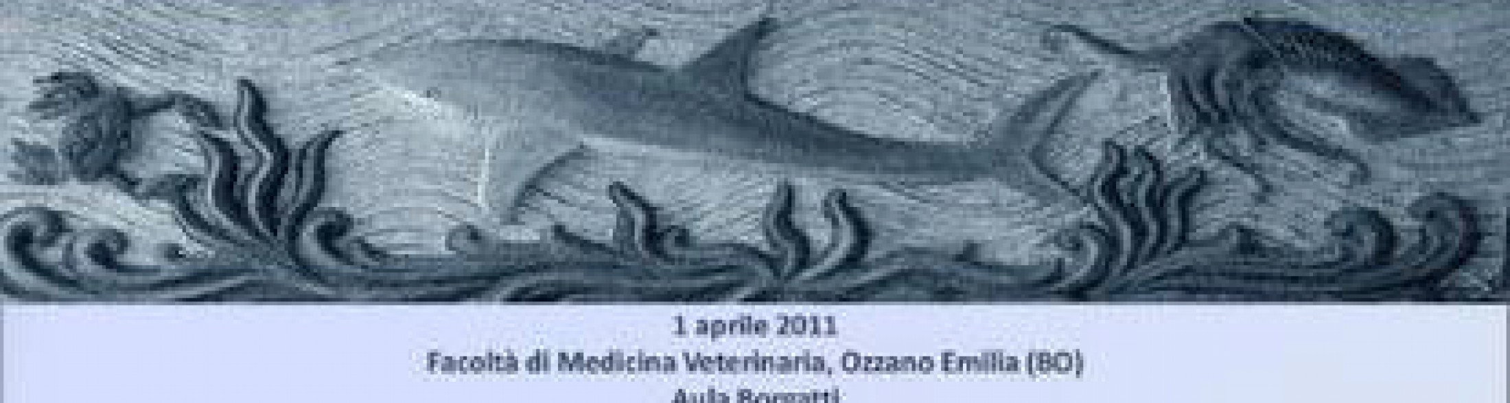 1.2.3 aprile Convegno e workshop Sivaszoo