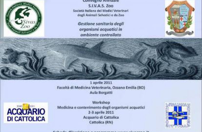 1.2.3 aprile Convegno e workshop Sivaszoo