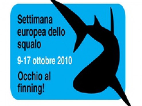settimana europea dello squalo