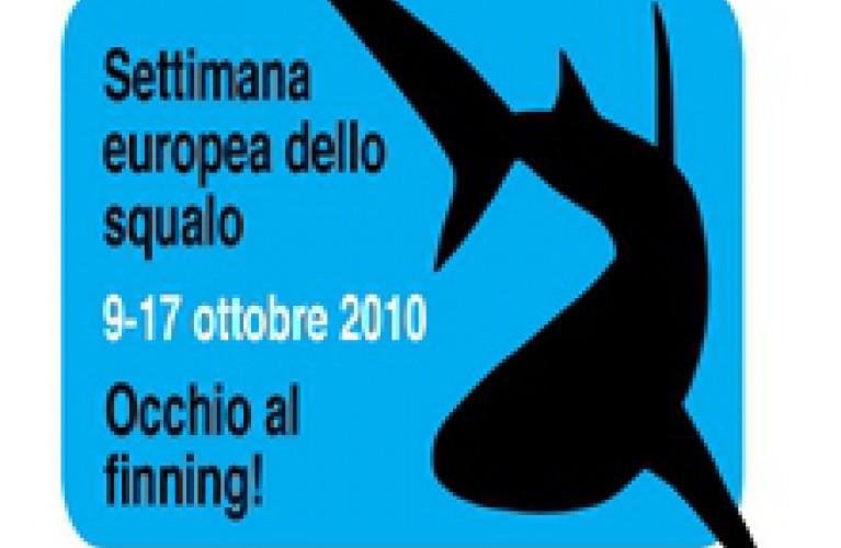 settimana europea dello squalo